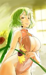 Rule 34 | 1girl, arm behind back, breast hold, breast rest, breasts, cleavage, colored eyelashes, female focus, floral print, flower, front zipper swimsuit, green hair, groin, highres, hip focus, holding, holding flower, kazami yuuka, large breasts, lips, looking at viewer, looking down, meme attire, one-piece swimsuit, red eyes, short hair, sinzan, slit pupils, smile, solo, sunflower, sunlight, swimsuit, teeth, thighs, touhou, window