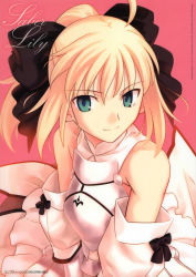 Rule 34 | 00s, 1girl, absurdres, ahoge, armor, artoria pendragon (fate), bare shoulders, blonde hair, bow, capcom, fate/stay night, fate/unlimited codes, fate (series), green eyes, hair bow, hair ribbon, highres, looking at viewer, ponytail, ribbon, saber (fate), saber lily, scan, short hair, smile, solo, takeuchi takashi