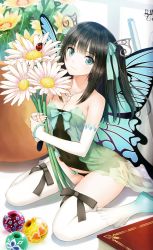 Rule 34 | 1girl, absurdres, aqua eyes, bare shoulders, beads, black hair, black panties, blunt bangs, book, bow, bow legwear, breasts, bug, butterfly wings, cleavage, covered navel, cropped, daisy, detached sleeves, elbow gloves, fairy, flower, flower pot, gloves, hair ornament, hair ribbon, head tilt, highres, holding, holding flower, insect, insect wings, jewelry, jpeg artifacts, ladybug, light smile, long hair, looking at viewer, mini person, minigirl, necklace, no pants, original, own hands together, panties, peace keeper daisy, plant, potted plant, ribbon, scan, shoes, sitting, small breasts, smile, solo, strapless, thighhighs, thong, tony taka, tube top, two side up, underwear, wariza, white thighhighs, wings