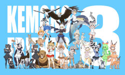 Rule 34 | 6+girls, animal, animal ears, australian devil (kemono friends), bald eagle (kemono friends), bird girl, bird tail, bird wings, blackbuck (kemono friends), blue background, caracal (kemono friends), cat ears, cat girl, cat tail, cellval, cetacean tail, common dolphin (kemono friends), common raccoon (kemono friends), dhole (kemono friends), dolphin girl, extra ears, fennec (kemono friends), fins, fish tail, fox ears, fox girl, fox tail, glasses, head fins, head wings, highres, kemono friends, kemono friends 3, lion (kemono friends), lion ears, lion girl, lion tail, long hair, looking at viewer, masked booby (kemono friends), meerkat (kemono friends), meerkat ears, meerkat tail, multiple girls, raccoon ears, raccoon girl, raccoon tail, ringtail (kemono friends), serval (kemono friends), short hair, simple background, tail, tasmanian devil (kemono friends), weapon, white serval (kemono friends), wings, wolf ears, wolf girl, yamaguchi yoshimi