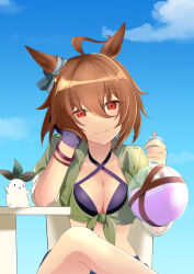 Rule 34 | 1girl, agnes tachyon (lunatic lab) (umamusume), agnes tachyon (umamusume), ahoge, animal ears, bikini, black bikini, black gloves, blue sky, bracelet, breasts, brown hair, cleavage, commentary request, criss-cross halter, crossed legs, ear ornament, flask, gakeumi, gloves, green shirt, hair between eyes, halterneck, head rest, highres, holding, holding flask, horse ears, horse girl, jewelry, looking at viewer, medium breasts, messy hair, midriff, official alternate costume, open clothes, open shirt, outdoors, round-bottom flask, shirt, single glove, sky, sleeves rolled up, solo, swimsuit, table, tied shirt, umamusume, upper body