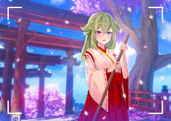 Rule 34 | 1girl, alternate costume, alternate hairstyle, angry, blue sky, blush, bow, broom, cherry blossoms, cloud, commentary request, day, furrowed brow, genshin impact, green hair, hair between eyes, hair down, hakama, hakama skirt, holding, holding broom, japanese clothes, kimono, kinyoubi no nangong da, kuki shinobu, lens flare, long hair, long sleeves, looking at viewer, miko, multiple torii, open mouth, outdoors, petals, purple eyes, railing, red hakama, ribbon-trimmed sleeves, ribbon trim, shrine, skirt, sky, solo, stairs, standing, sweeping, torii, tree, viewfinder, white kimono, wide sleeves