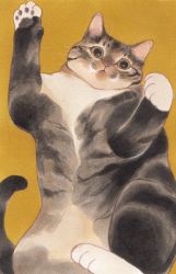 Rule 34 | animal focus, cat, highres, looking at viewer, lying, no humans, on back, original, sblue (smbluechao), whiskers
