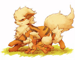 Rule 34 | arcanine, body fur, claws, closed mouth, commentary request, creatures (company), evolutionary line, eye contact, game freak, gen 1 pokemon, grass, growlithe, kuronekotarou, looking at another, nintendo, no humans, open mouth, pokemon, pokemon (creature), yellow fur