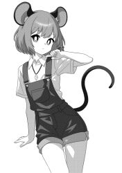 Rule 34 | 1girl, animal, animal ears, closed mouth, collared shirt, greyscale, hair between eyes, highres, monochrome, mouse (animal), mouse ears, mouse tail, nazrin, onkn sxkn, overalls, shirt, short hair, short sleeves, simple background, solo, tail, touhou, white background