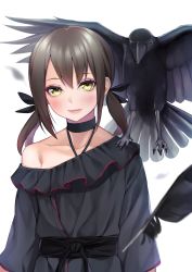 Rule 34 | 1girl, animal, animal on shoulder, bird, black choker, black dress, black feathers, black ribbon, blurry, blush, brown hair, choker, closed mouth, collarbone, commentary request, crow, depth of field, dress, feathers, hair between eyes, hair ribbon, halterneck, head tilt, highres, long sleeves, looking at viewer, medium hair, off shoulder, original, ribbon, sash, sidelocks, simple background, single bare shoulder, standing, takoneru, twintails, white background, yellow eyes