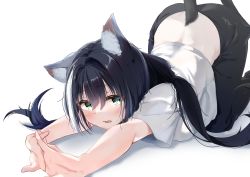 Rule 34 | 1girl, absurdres, animal ear fluff, animal ears, black hair, black pants, breasts, cat ears, cat girl, cat tail, commentary request, green eyes, highres, karyl (princess connect!), kneeling, long hair, looking at viewer, midriff, multicolored hair, pants, princess connect!, shirt, short sleeves, simple background, solo, streaked hair, stretching, tail, twintails, user inubouzakiitsuki, white background, white hair, white shirt