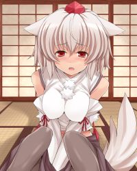 Rule 34 | 1girl, amane hasuhito, animal ears, bad id, bad pixiv id, between legs, blush, detached sleeves, door, female focus, hand between legs, hat, inubashiri momiji, midriff, open mouth, pantyhose, red eyes, shirt, short hair, silver hair, sitting, skirt, solo, tail, tatami, touhou, v arms, wolf ears, wolf tail