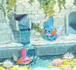 Rule 34 | 1boy, 1girl, absurdres, aisutabetao, black eyes, brick wall, closed eyes, creatures (company), day, flower, game freak, gen 3 pokemon, highres, leaf, lily pad, mudkip, multiple others, nintendo, no humans, open mouth, outdoors, pink flower, pokemon, pokemon (creature), smile, swimming, water, water lily flower, white flower