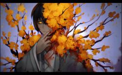 Rule 34 | 1boy, black hair, branch, closed mouth, coat, e.g.o (project moon), flaw eight, flower, flower over eye, grey coat, hair flower, hair ornament, hand up, korean clothes, limbus company, male focus, project moon, solo, upper body, white coat, wings, yellow eyes, yellow flower, yi sang (project moon)