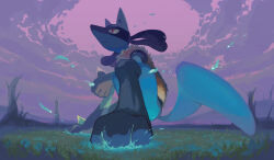 ambiguous_gender blue_fur creatures_(company) furry game_freak gen_4_pokemon highres imoamaoimmoamim large_tail looking_up lucario multicolored_fur nintendo on_grass pokemon pokemon_(creature) purple_sky red_eyes sky solo spikes tail two-tone_fur