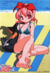 Rule 34 | 1girl, akatsuki gomoku, barefoot, beach, beach towel, bikini, bird, blanket, blue bikini, bow, bow hairband, character request, company name, copyright name, covered erect nipples, dated, day, dripping, feet, final romance 4, full body, hairband, halterneck, halterneck, headband, light smile, logo, looking at viewer, non-web source, ocean, official art, outdoors, penguin, pink hair, red eyes, red hairband, sand, short hair, signature, sitting, smile, soles, solo, summer, swimsuit, takamine momo, toes, towel, translation request, water, wet, wet hair