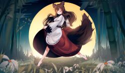 Rule 34 | 1girl, absurdres, animal ears, bamboo, bamboo forest, barefoot, brown hair, closed eyes, dancing, dress, flower, forest, full moon, gradient background, highres, imaizumi kagerou, long hair, long sleeves, meadow, moon, nature, night, penglai tea, puffy long sleeves, puffy sleeves, solo, tail, touhou, wolf ears, wolf girl, wolf tail