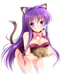 Rule 34 | 00s, 1girl, animal ears, bell, blush, boar, botan (clannad), bow, breast press, breasts, cat ears, cat tail, choker, clannad, cleavage, closed mouth, cowboy shot, fujibayashi kyou, hair ribbon, highres, kemonomimi mode, kittysuit, lace, leaning forward, leotard, long hair, looking at viewer, neck bell, nontraditional playboy bunny, pig, pink bow, purple hair, ribbon, smile, solo, straight hair, tail, thighhighs, very long hair, white background, white bow, white ribbon, white thighhighs, yagami-all hail nanao