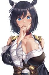 Rule 34 | 1girl, amagi korona, animal ears, black hair, blue eyes, blush, bodice, bow, breasts, cleavage, collar, collarbone, commentary, covering own mouth, detached sleeves, ear ribbon, eishin flash (umamusume), grey ribbon, hair between eyes, hand over own mouth, hand up, highres, horse ears, horse girl, large breasts, looking at viewer, red collar, scrunchie, shiny skin, short hair, simple background, solo, swept bangs, umamusume, upper body, white background, white scrunchie, wide sleeves