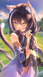 Rule 34 | 1girl, absurdres, animal ear fluff, animal ears, black hair, blush, cat ears, cat girl, cat tail, detached sleeves, dress, fang, highres, holding, holding hair, jiyasu, karyl (princess connect!), long hair, looking at viewer, low twintails, multicolored hair, outdoors, princess connect!, purple dress, sleeveless, sleeveless dress, smile, solo, streaked hair, sunset, tail, twintails, very long hair, white hair, yellow eyes