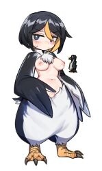 Rule 34 | 1girl, bird legs, bird tail, black eyes, black feathers, black hair, black wings, blonde hair, blush, breasts, bright pupils, chest tuft, cleft of venus, commentary, feathers, hair between eyes, harpy, heart-shaped pubic hair, highres, looking at viewer, medium breasts, monster girl, multicolored hair, navel, nipples, nude, nyong nyong, original, penguin girl, pubic hair, pussy, shaped pubic hair, short hair, solo, sweatdrop, tail, talons, two-tone hair, two-tone wings, uncensored, webbed hands, white background, white feathers, white pupils, white wings, winged arms, wings