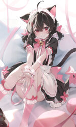 Rule 34 | 1girl, absurdres, ahoge, animal ears, arm ribbon, bell, black dress, black ears, black hair, blush, bow, bowtie, buttons, cat ears, cat girl, closed mouth, collared dress, dress, eyelashes, frilled dress, frilled wristband, frills, hair between eyes, hair ornament, hairpin, happy, highres, indoors, kneehighs, looking at viewer, low twintails, lumo 1121, maid, maid headdress, mary janes, medium hair, on bed, original, pillow, pink bow, pink bowtie, pink ribbon, pink socks, puffy short sleeves, puffy sleeves, red eyes, ribbon, shoes, short sleeves, sitting, smile, socks, twintails, yarn, yarn ball