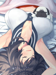 Rule 34 | 1girl, agano (kancolle), animal, armpits, arms up, bed, black hair, blanket, blush, breasts, cleavage, closed eyes, dog, eyelashes, highres, kantai collection, large breasts, lips, long hair, lying, midriff, navel, on back, pug, red skirt, sailor collar, shingyou (alexander-13), skirt, sleeping, sleeveless, smile, solo, upside-down
