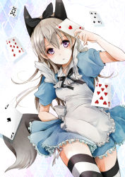 Rule 34 | 1girl, :&lt;, akatsuki hijiri, alice (alice in wonderland), alice (alice in wonderland) (cosplay), alice in wonderland, animal ears, apron, blonde hair, blush, bow, card, cosplay, dress, eila ilmatar juutilainen, floating card, hair bow, hairband, holding, long hair, playing card, purple eyes, ribbon, silver hair, solo, strike witches, striped clothes, striped thighhighs, tail, thighhighs, world witches series, zettai ryouiki