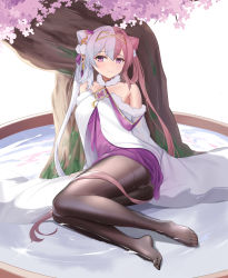 Rule 34 | 1girl, azur lane, bare shoulders, black pantyhose, blush, breasts, chao ho (azur lane), chao ho (plum blossom&#039;s illumination) (azur lane), cherry blossoms, collarbone, double bun, dress, hair bun, highres, light smile, long hair, looking at viewer, medium breasts, multicolored hair, no shoes, panties, panties under pantyhose, pantyhose, pantyshot, pink hair, purple dress, purple eyes, r-paka, silver hair, sitting, soles, solo, tree, twintails, two-tone dress, two-tone hair, underwear, wet, wet clothes, white dress