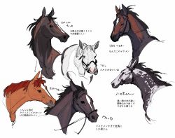 Rule 34 | 6+others, bridle, daiwa scarlet (racehorse), gold ship (racehorse), highres, horse, mejiro mcqueen (racehorse), multiple others, no humans, photo-referenced, portrait, real life, simple background, special week (racehorse), takatsuki nato, tokai teio (racehorse), vodka (racehorse), white background
