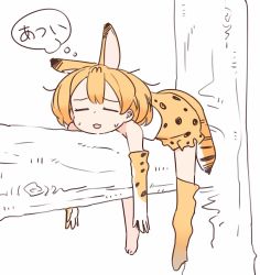 Rule 34 | 10s, 1girl, animal ears, animal print, blonde hair, elbow gloves, closed eyes, gloves, in tree, kasa list, kemono friends, lying, on stomach, serval (kemono friends), serval tail, single thighhigh, solo, sweat, tail, thighhighs, thought bubble, translated, tree
