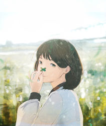 Rule 34 | 1girl, blurry, brown hair, clover, commentary, depth of field, field, flower, flower field, four-leaf clover, hand up, highres, horizon, light particles, looking at viewer, looking back, nakamura yukihiro, nature, original, outdoors, short hair, sky, smile, solo, sunlight