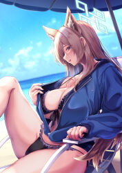 Rule 34 | 1girl, absurdres, animal ears, bikini, black bikini, blue archive, blue eyes, blue jacket, blue sky, blush, breasts, brown hair, cleavage, collarbone, commentary request, from side, halo, highres, jacket, kanna (blue archive), large breasts, long hair, long sleeves, ocean, outdoors, parasol, parted lips, partially unzipped, saboten teishoku, sitting, sky, smile, solo, swimsuit, umbrella, water