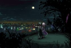 Rule 34 | 2girls, blonde hair, brown hair, city, city lights, cityscape, cloud, dress, from behind, full moon, gap (touhou), grass, holding hands, hat, hat ribbon, highres, maribel hearn, mob cap, moon, multiple girls, night, night sky, outdoors, outstretched arm, pmx, pointing, ribbon, short hair, silhouette, sketch, skirt, sky, star (sky), touhou, tree, usami renko