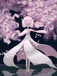 Rule 34 | 1girl, alternate color, alternate shiny pokemon, arm up, artist name, blush, bob cut, cherry blossoms, closed eyes, colored skin, creatures (company), falling petals, female focus, flat chest, floral print, full body, game freak, gardevoir, gen 3 pokemon, hair between eyes, hand on own chest, hand up, legs together, light blush, multicolored skin, nintendo, outstretched arm, petals, pink hair, pink skin, pink theme, pokemon, pokemon (creature), reflection, reflective water, ripples, short hair, signature, solo, standing, standing on liquid, straight-on, tree, twitter username, two-tone skin, u u, ume emaru, water, white skin, wind