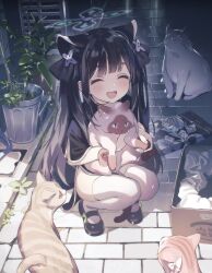 Rule 34 | 1girl, alley, animal, animal ears, black dress, black footwear, black hair, black ribbon, blue archive, cat, china dress, chinese clothes, closed eyes, commentary request, dress, hair ribbon, halo, highres, holding, holding animal, holding cat, kaerunoko, long hair, mary janes, open mouth, outdoors, plant, potted plant, revision, ribbon, shoes, shun (blue archive), shun (small) (blue archive), smile, solo, squatting, thighhighs, thighs, twintails, very long hair, white thighhighs