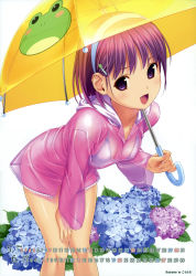 Rule 34 | 1girl, :d, absurdres, animal print, bent over, bikini, bottomless, breasts, calendar, cleavage, fingernails, flower, frog hair ornament, frog print, hair ornament, hairband, hairclip, hand on own knee, highres, hydrangea, koutaro, leaning forward, looking at viewer, medium breasts, nail polish, no panties, open mouth, original, pink hair, purple eyes, raincoat, scan, see-through, short hair, smile, solo, swimsuit, thigh gap, thighs, umbrella, white bikini