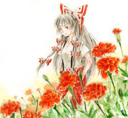 Rule 34 | 1girl, artist request, bad id, bad pixiv id, bow, female focus, flower, fujiwara no mokou, hair bow, hair ribbon, hands in pockets, long hair, marigold, multiple hair bows, nature, outdoors, painting (medium), pants, red eyes, ribbon, shirt, short sleeves, silver hair, simple background, smile, solo, suspenders, t-shirt, touhou, traditional media, uram, watercolor (medium), white background