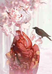 Rule 34 | 1girl, bird, bird on hand, blue eyes, branch, cherry blossoms, crow, floral print, hair up, highres, japanese clothes, kimono, looking at viewer, original, outdoors, parted lips, print kimono, profile, red kimono, sidelocks, sideways glance, smile, smilesmile1312, solo, upper body, white hair