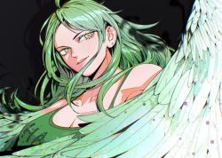 Rule 34 | 1girl, ahoge, black background, breasts, cleavage, commentary, english commentary, feathered wings, feathers, glitch, gradient wings, green feathers, green hair, green tank top, green wings, harpy, long hair, medium breasts, monet (one piece), monster girl, multicolored wings, mygiorni, one piece, parted lips, simple background, solo, tank top, twitter username, white feathers, white wings, winged arms, wings, yellow eyes