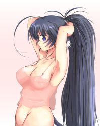 Rule 34 | 1girl, adjusting hair, arm behind head, armpits, arms up, black hair, blue eyes, bottomless, breasts, cat tail, covered erect nipples, female focus, groin, highres, large breasts, long hair, navel, nenngajyoh, no bra, original, ponytail, profile, shirt, solo, standing, tail, very long hair