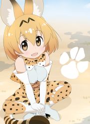 Rule 34 | 10s, 1girl, animal ears, blonde hair, bow, bowtie, breasts, cross-laced clothes, elbow gloves, gloves, hair between eyes, high-waist skirt, highres, indian style, kemono friends, looking at viewer, medium breasts, open mouth, paw print, serval (kemono friends), serval print, serval tail, shirt, shoes, short hair, sitting, skirt, sleeveless, sleeveless shirt, smile, solo, striped tail, tail, v arms, yellow eyes, yumekaranigeruna