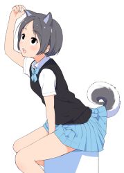 Rule 34 | 1girl, :o, animal ears, between legs, black eyes, black vest, blue bow, blue bowtie, blue skirt, blush, bow, bowtie, collared shirt, commentary request, dog ears, dog tail, from side, grey hair, hand between legs, hand up, hi iro, lifted by tail, looking up, original, pleated skirt, school uniform, shirt, short sleeves, simple background, skirt, solo, tail, vest, white background, white shirt, wing collar