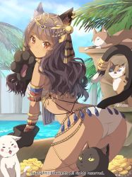 Rule 34 | 1girl, all fours, animal ears, animal hands, ankh, armlet, ass, bad id, bad pixiv id, bell, bikini, black cat, black hair, blush, bracelet, breasts, brown hair, calico, cat, cat ears, cat tail, circlet, coin, curvy, dark-skinned female, dark skin, day, earrings, egyptian, from behind, gloves, jewelry, jingle bell, kaizin rumble, kim bae-eo, large breasts, long hair, looking at viewer, looking back, palm tree, paw gloves, red eyes, sky, smile, solo, swimsuit, tail, tree, water, wavy hair, white bikini, white cat, wide hips