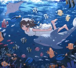 Rule 34 | 1girl, aqua eyes, arisa (aren), artist name, bare arms, barefoot, black hair, blue theme, closed mouth, commentary request, coral, dolphin, dress, fish, floating hair, full body, hair ornament, highres, light particles, looking to the side, manta ray, medium hair, original, plant, seaweed, signature, sleeveless, sleeveless dress, smile, solo, star (symbol), star hair ornament, starfish, starfish hair ornament, swimming, underwater, water, white dress