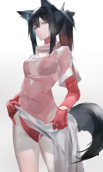 Rule 34 | 1girl, alternate costume, animal ears, arknights, black hair, blazpu, center opening, ear piercing, gloves, highres, long hair, long sleeves, piercing, ponytail, red gloves, red sweater, see-through, sidelocks, solo, sweater, swimsuit, tail, texas (arknights), thighs, white background, wolf ears, wolf girl, wolf tail, yellow eyes