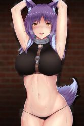 Rule 34 | 1girl, animal ear fluff, animal ears, armpits, arms up, belt, black panties, blush, breasts, collar, crop top, highres, isawo (lucanus19), large breasts, looking at viewer, makoto (princess connect!), medium hair, metal collar, navel, open mouth, panties, princess connect!, purple hair, solo, sweat, tail, underwear, wolf ears, wolf girl, wolf tail, yellow eyes