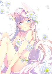 Rule 34 | 1girl, ahoge, animal ears, bare legs, bare shoulders, barefoot, blue eyes, blurry, blurry background, blush, breasts, brown hair, cat ears, cat girl, cat tail, collarbone, commentary request, depth of field, ech, feet out of frame, flower, flower clothes, hair between eyes, hair flower, hair ornament, head tilt, long hair, original, parted lips, rose, sitting, small breasts, solo, tail, tail raised, very long hair, white background, white flower, white rose