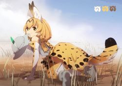 Rule 34 | 10s, 1girl, all fours, animal ears, blonde hair, bucket hat, cloud, day, elbow gloves, extra ears, gloves, hat, hat feather, japari symbol, kemono friends, looking back, mouth hold, multicolored clothes, multicolored gloves, multicolored legwear, no-kan, outdoors, print gloves, print skirt, print thighhighs, serval (kemono friends), serval print, serval tail, skirt, sky, smile, solo, tail, thighhighs, white gloves, white thighhighs, yellow eyes, yellow gloves, yellow skirt, yellow thighhighs