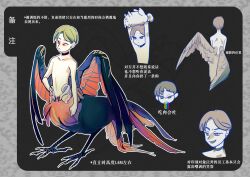 Rule 34 | 1boy, bird boy, bird tail, bird wings, black background, black choker, blue wings, character sheet, choker, claws, closed mouth, feathered wings, full body, green hair, hand on own hip, looking to the side, male focus, monster boy, multicolored wings, multiple views, nude, orange wings, original, phieumpratensl, red eyes, short hair, standing, tail, taur, wings