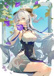 Rule 34 | 1girl, 9degree, absurdres, blue sky, bow, breasts, bronya zaychik, bronya zaychik (silverwing: n-ex), cleavage, dress, drill hair, flower, grey eyes, grey hair, hair bow, highres, honkai (series), honkai impact 3rd, invisible chair, long hair, looking at viewer, open mouth, purple flower, sitting, sky, sleeveless, sleeveless dress, solo, twin drills, white dress