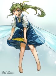 Rule 34 | 1girl, barefoot, blue dress, blue eyes, daiyousei, dress, fairy wings, green hair, hair ribbon, highres, long hair, looking at viewer, open mouth, petals, pointy ears, puffy short sleeves, puffy sleeves, ribbon, sachito, short sleeves, side ponytail, skirt basket, solo, touhou, wings