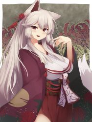 Rule 34 | 1girl, :d, animal ears, breasts, brown eyes, commentary request, floral print, flower, flower knight girl, fox ears, fox girl, fox tail, grey hair, hair ornament, higanbana (flower knight girl), highres, japanese clothes, kimono, long hair, looking at viewer, obi, open mouth, sash, sidelocks, smile, solo, spider lily print, tail, very long hair, yonaga san