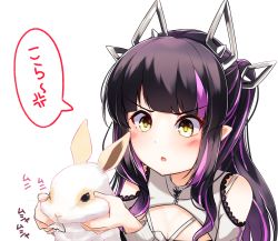 Rule 34 | 1girl, black hair, black tube top, blunt bangs, blush, breasts, cleavage, clothing cutout, commentary request, dameyoshi, demon girl, demon horns, highres, holding animal, holding rabbit, horns, kojo anna, kojo anna (2nd costume), lace trim, long hair, long sleeves, looking at animal, multicolored hair, nanashi inc., official alternate costume, open mouth, pink hair, pointy ears, rabbit, shoulder cutout, shrug (clothing), simple background, solo, strapless, sugar lyric, translation request, tube top, twintails, two-tone hair, upper body, v-shaped eyebrows, virtual youtuber, white background, yellow eyes